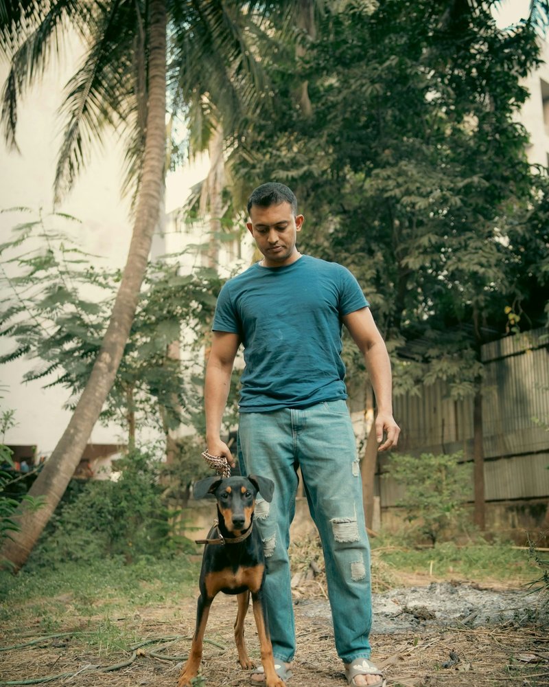 Doberman Pinscher against bright neutral background showing full body outline and coat detail