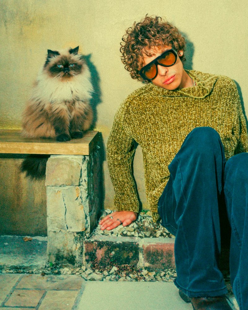 Himalayan cat close-up showing groomed flowing coat and vivid blue eyes for AI portrait reference